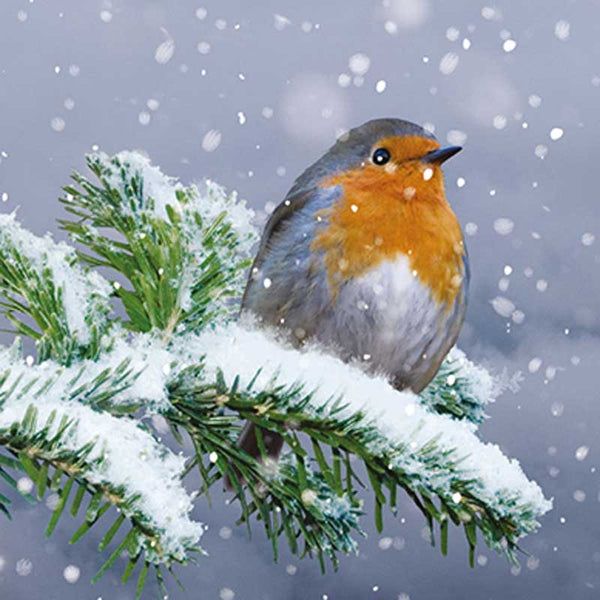 Ling Design Charity Christmas Cards - Snowy Branch (Pack of 6) image 0
