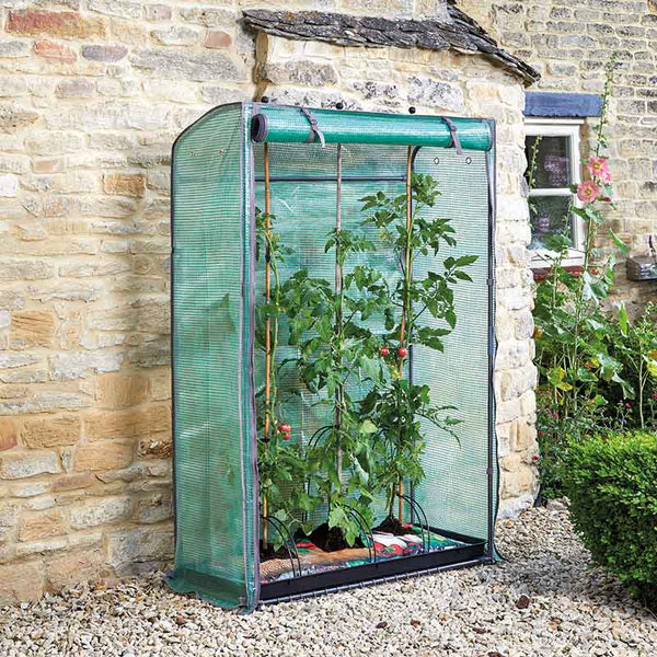 GroZone Tomato Growhouse image 0