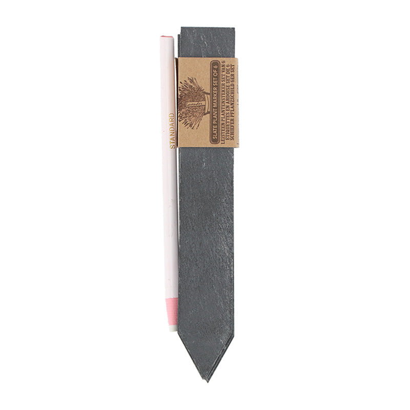 Fallen Fruits Slate Plant Markers (Set of 6) image 0