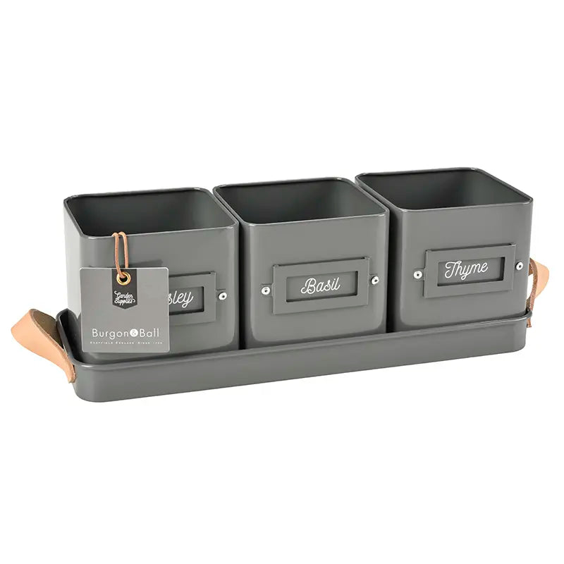 Burgon & Ball 3 Herb Pots in a Leather Handled Tray image 0