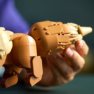 LEGO® Pokémon™ Eevee (72151) image 7