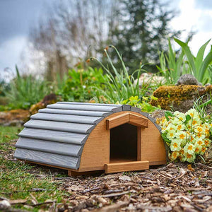 Tom Chambers Vermont Hedgehog Box House image 0
