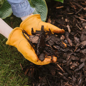 Westland Landscape Bark (100 litres) image 1