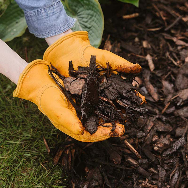 Westland Landscape Bark (100 litres) image 1