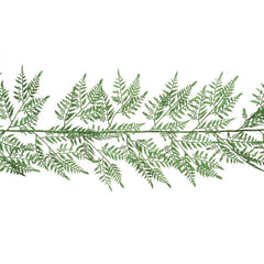 Floralsilk Leather Fern Garland image 0