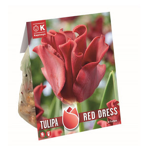Tulip Coronet ‘Red Dress’ Crown Tulip (8 Bulbs) image 0
