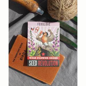 Foxglove Native Wild Flower Seeds (1 Packet) image 1