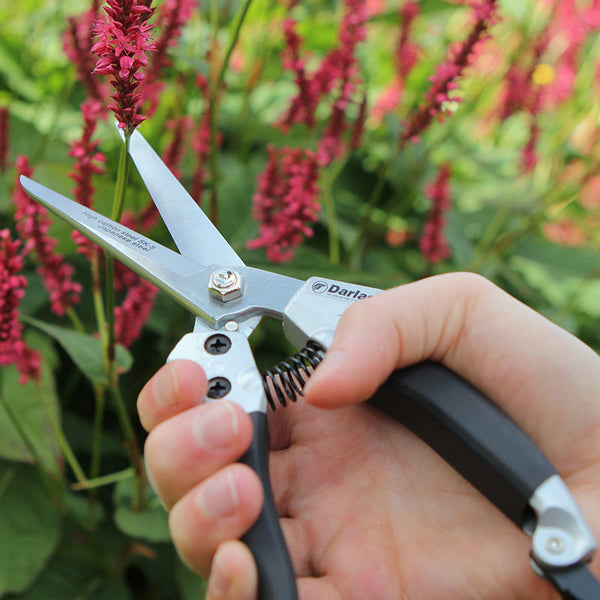 Darlac Compact Hand Shears image 1