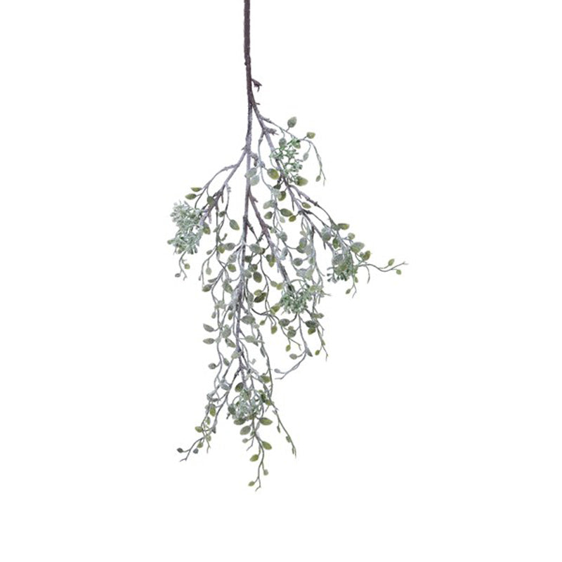 Everlands Green Frosted Mistletoe Spray (90cm) image 0