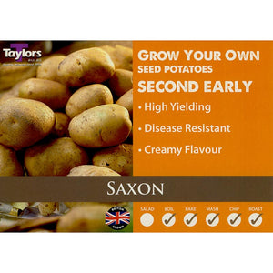 Saxon Second Early Seed Potatoes (2kg Bag) image 0