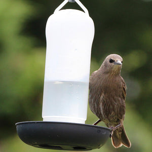 Henry Bell Essential Water Drinker image 0