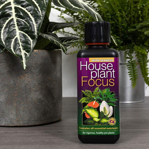 Growth Technology Houseplant Focus with Seaweed image 2