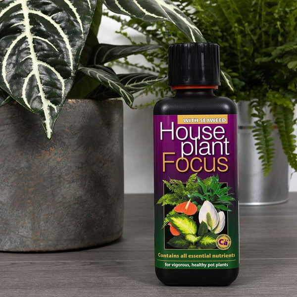 Growth Technology Houseplant Focus with Seaweed image 2