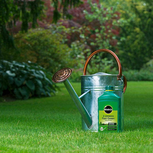 Miracle-Gro Evergreen Fast Green Liquid Lawn Food (1-Litre) image 2