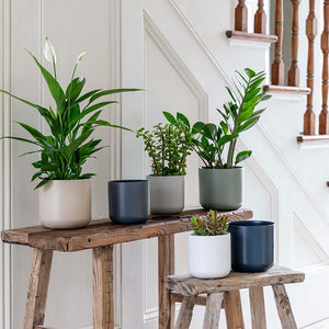 Ivyline Lisbon Indoor Planter Range image 0