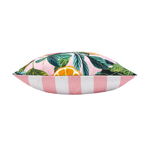 Evans Lichfield Blush Pink Citrus Outdoor Square Cushion, 43 x 43cm image 4