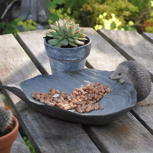 Honey & Wild Birdbath/Feeder Hedgehog On Leaf image 1