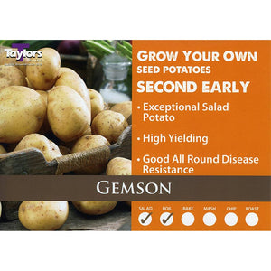 Gemson Second Early Seed Potatoes - 2kg image