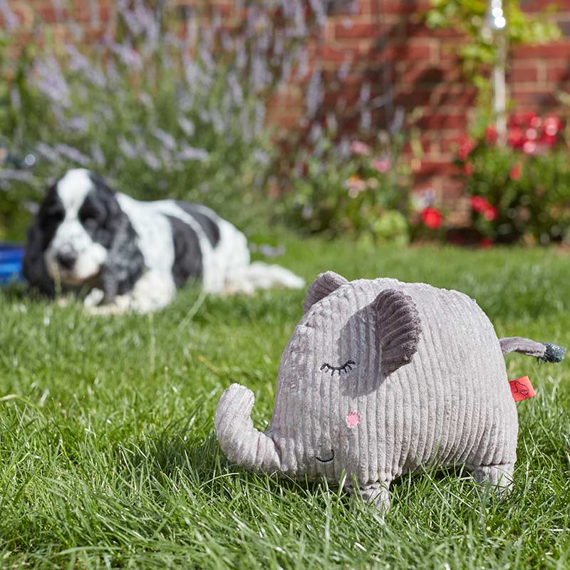 Zoon Junior Jumbo! Elephant Dog Toy image 0