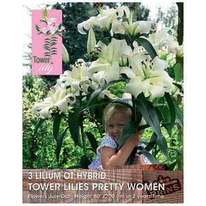 Lilium 'OT-Hybrid Tower Lilies Pretty Women' Bulbs image 0