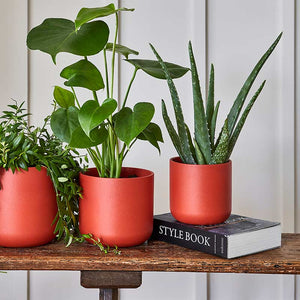 Ivyline Lisbon Indoor Planter Range image 3