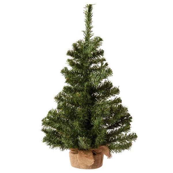 Everlands Mini Imperial Pine image 2