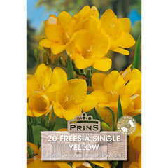 Freesia Single 'Yellow' (20 bulbs) image 0