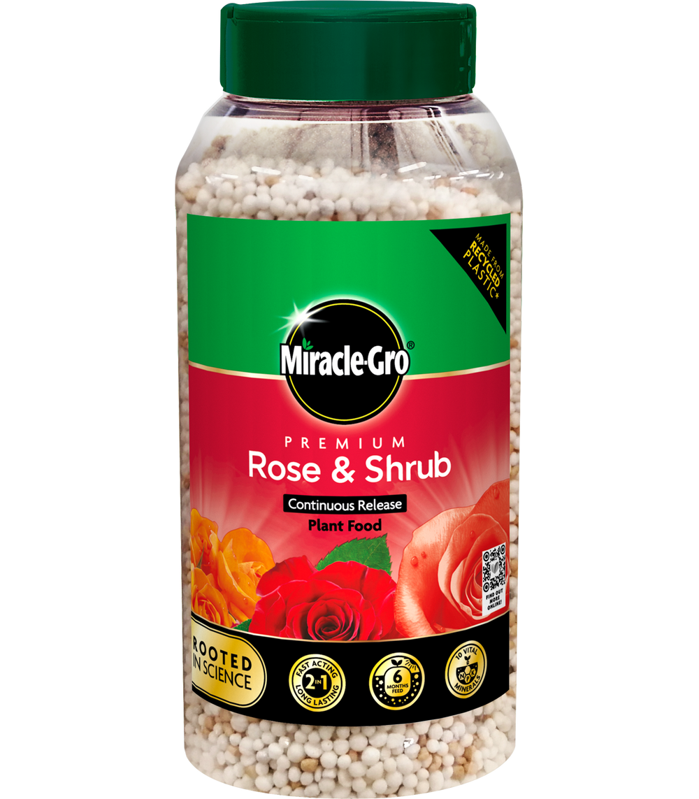 Miracle-Gro Premium Rose & Shrub Continuous Release Plant Food (900g) image 0
