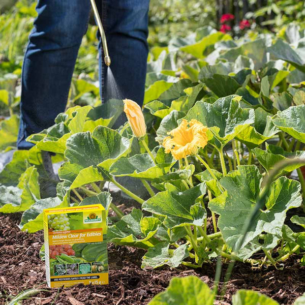 Neudorff Mildew Clear Fungicide for Edibles (5 sachets) image 1