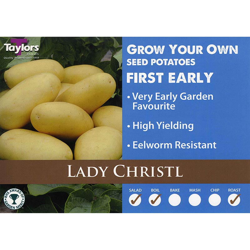 Lady Christl First Early Seed Potatoes image 0