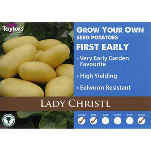 Lady Christl First Early Seed Potatoes image 0