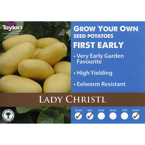 Lady Christl First Early Seed Potatoes image 0