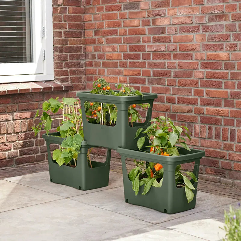 elho® Green Basics Stack & Grow Leaf Green image 0