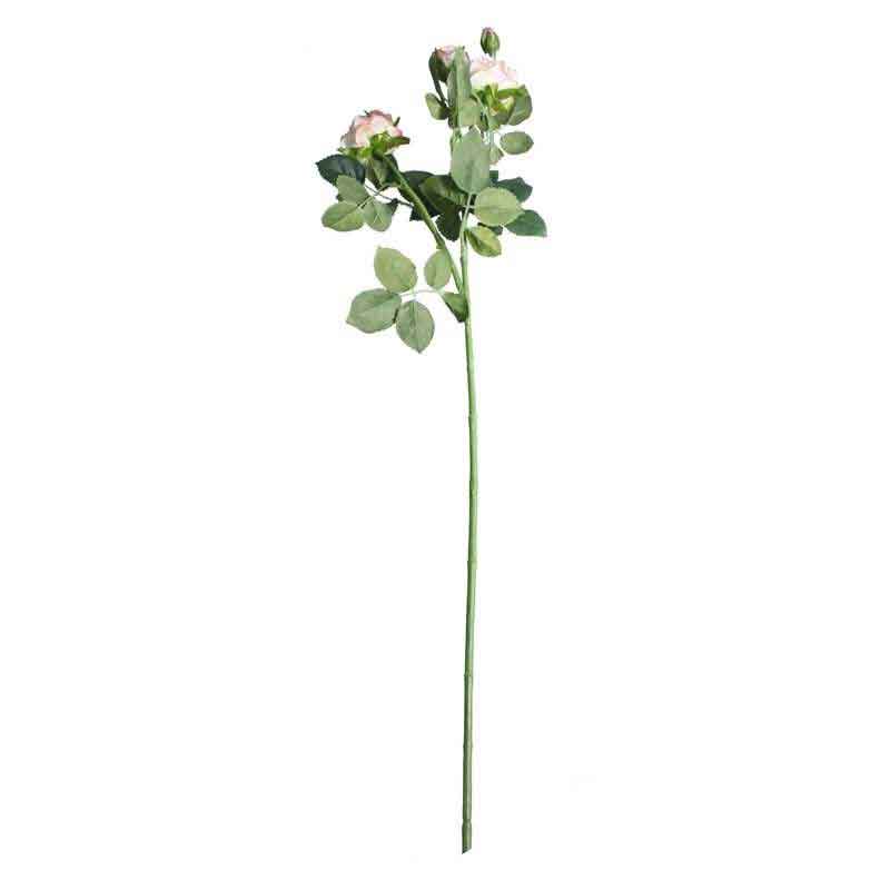 Cream Pink Camelot Garden Rose Spray (70cm) image 0
