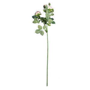 Cream Pink Camelot Garden Rose Spray (70cm) image 0