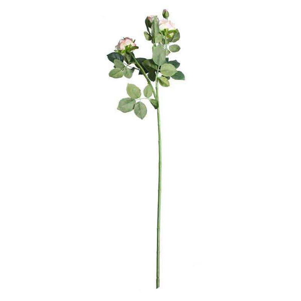 Cream Pink Camelot Garden Rose Spray (70cm) image 0