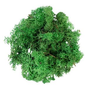 My Village Green Reindeer Moss (500g) image 0