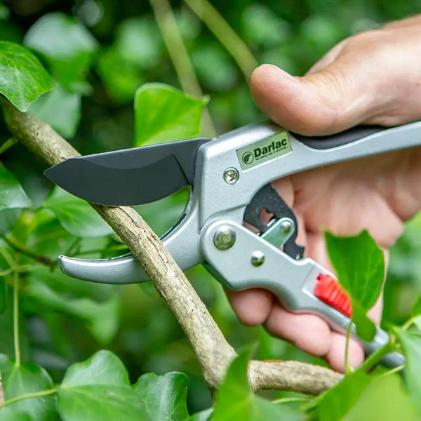 Darlac Super Classic Ratchet Pruner image 1