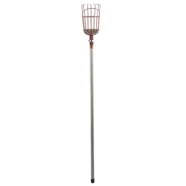 Kent & Stowe Telescopic Fruit Picker image 0