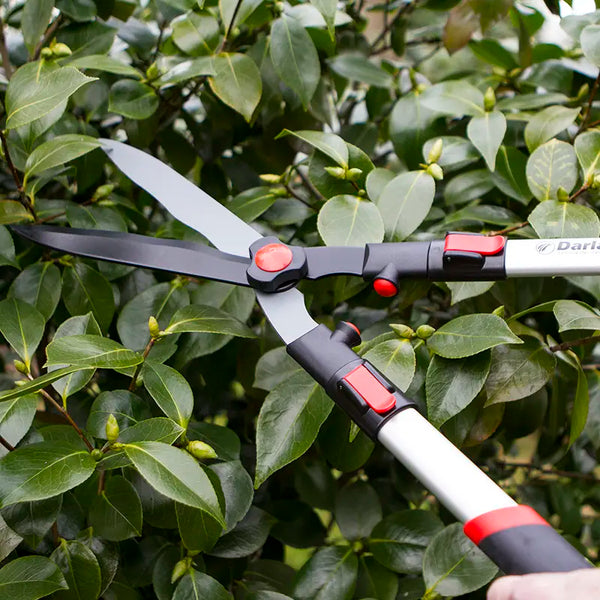 Darlac Telescopic Hedge Shears image 2