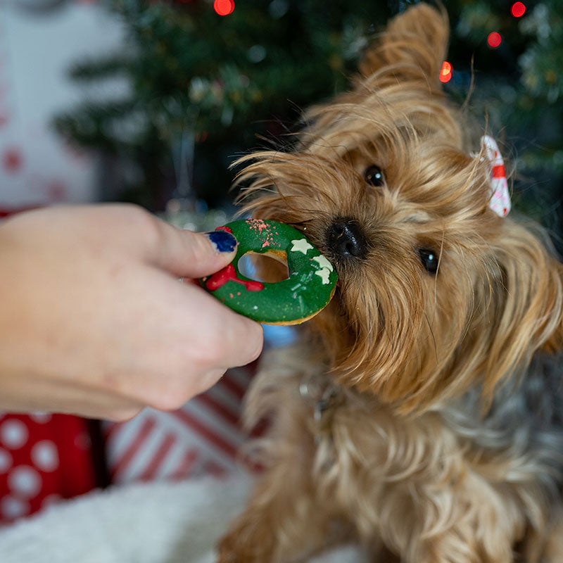 Barking Bakery Yappy Woofmas Domuttz image 0