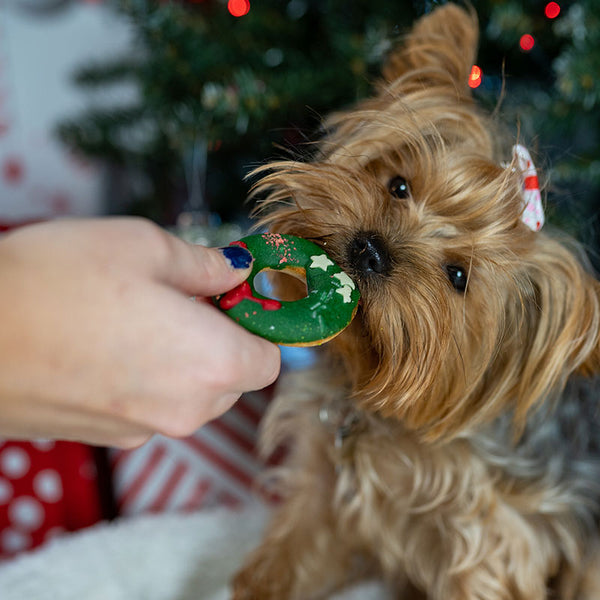 Barking Bakery Yappy Woofmas Domuttz image 1