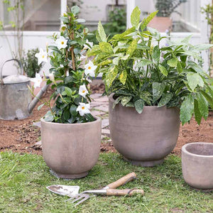 Ivyline Outdoor Cartmel Mocha Terracotta Planter range image 0