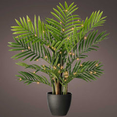 Lumineo 60 Micro LED Plant Lights - Classic Warm image 0