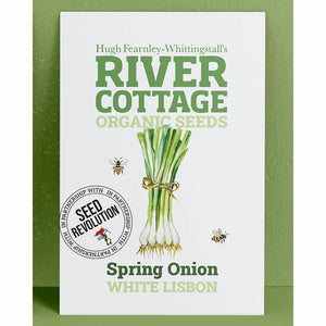 River Cottage Organic Seeds – Spring Onion ‘White Lisbon’ (1 Packet) image 0
