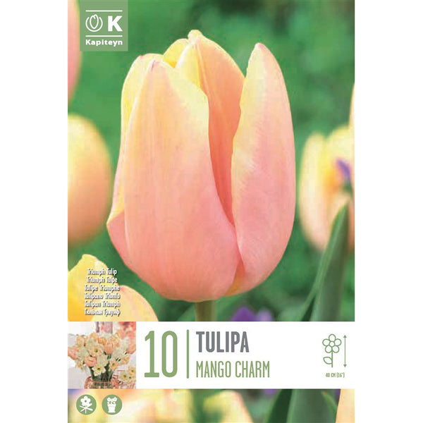 Tulip ‘Mango Charm’ (10 Bulbs) image 0