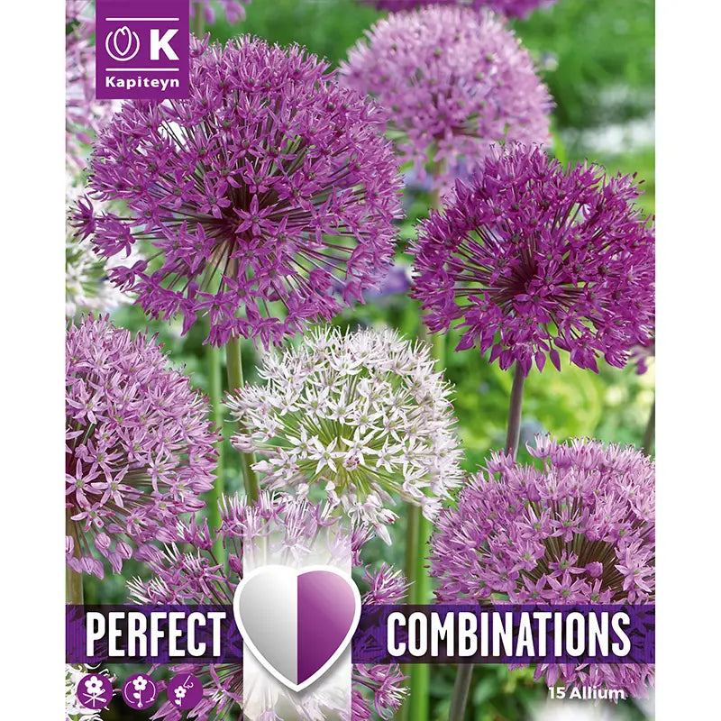 Allium 'Large Ball Blend' Combination Mix (15 bulbs) image 0
