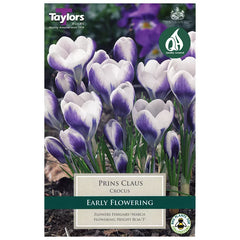 Crocus 'Prins Claus' (10 Bulbs) image 0