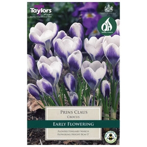 Crocus 'Prins Claus' (10 Bulbs) image 0