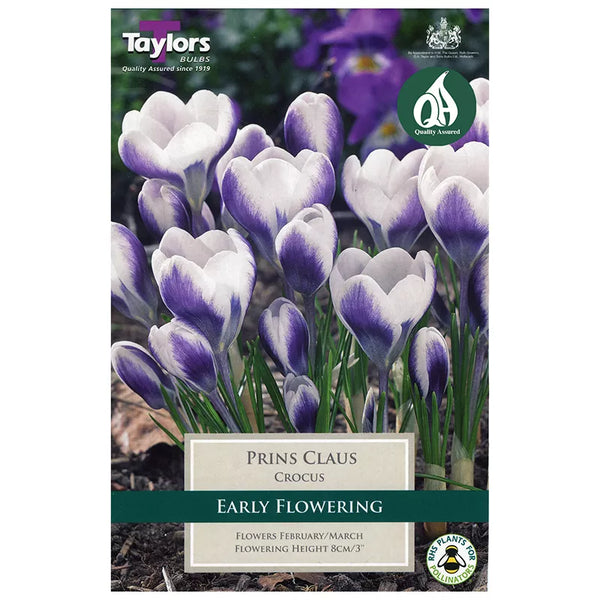 Crocus 'Prins Claus' (10 Bulbs) image 0